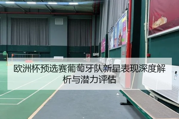 欧洲杯预选赛葡萄牙队新星表现深度解析与潜力评估